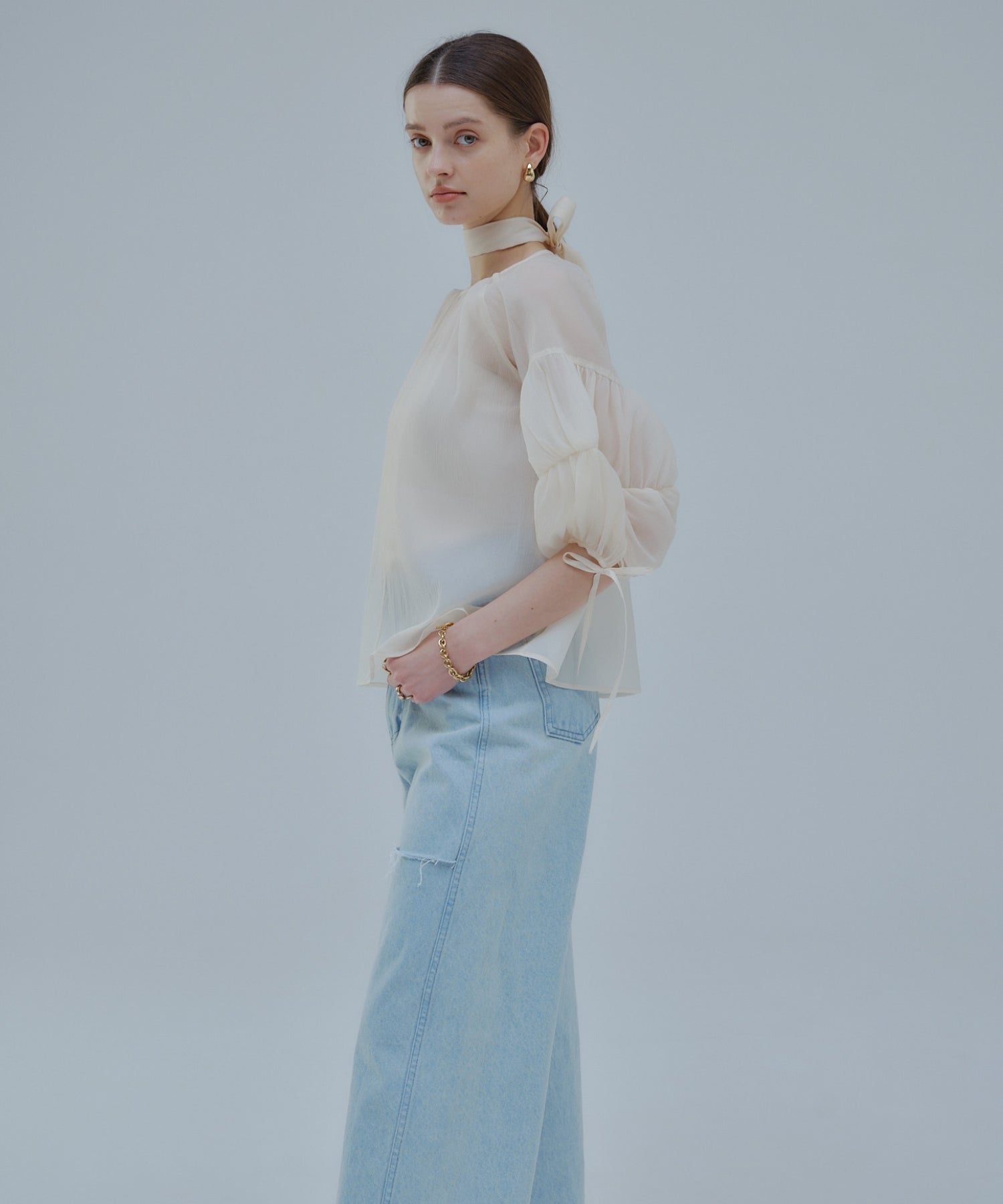 Sheer puff blouse