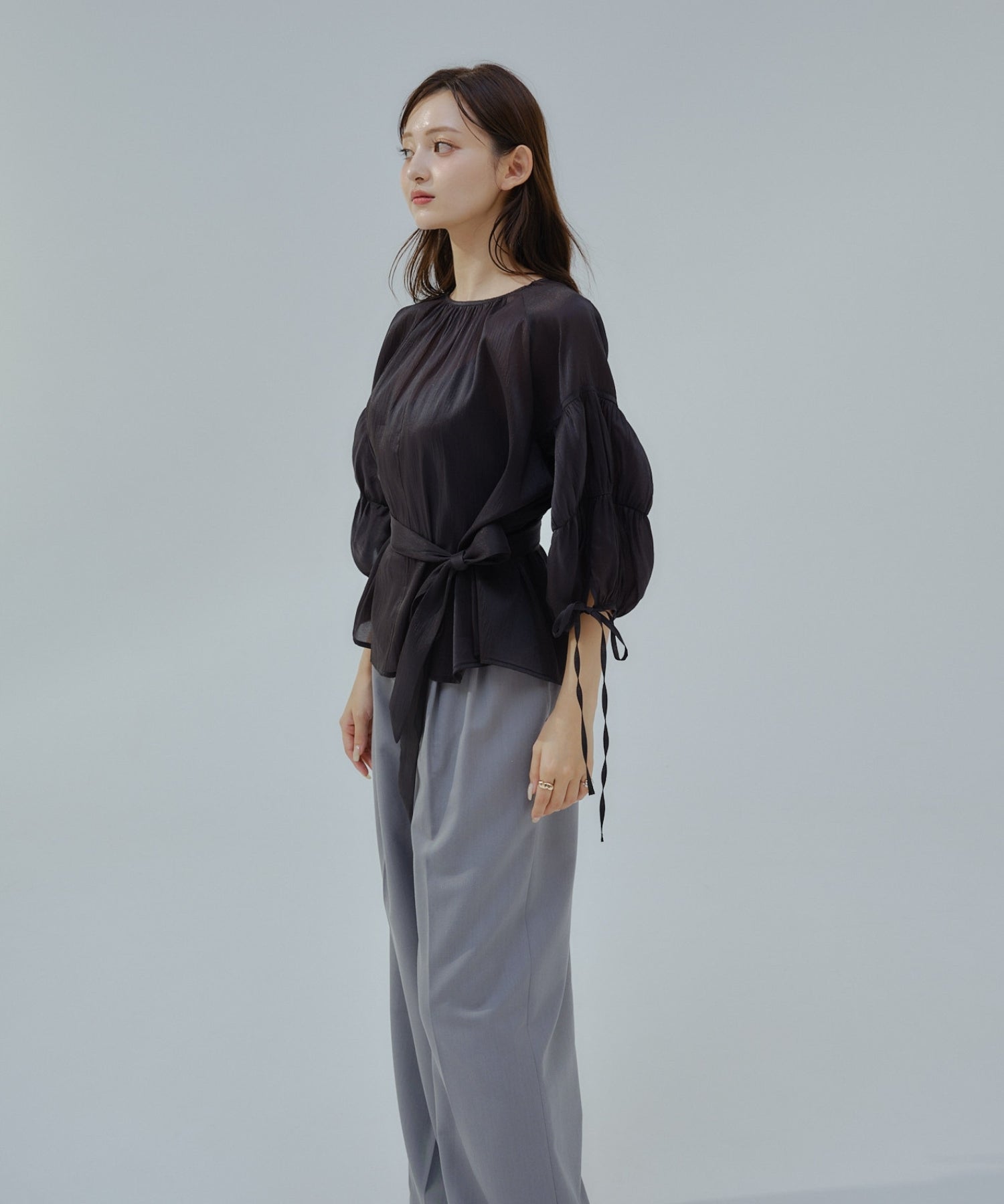 Sheer puff blouse